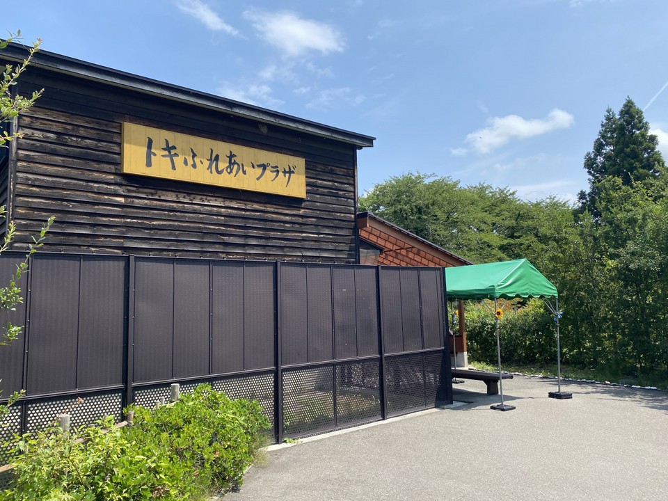 この中から