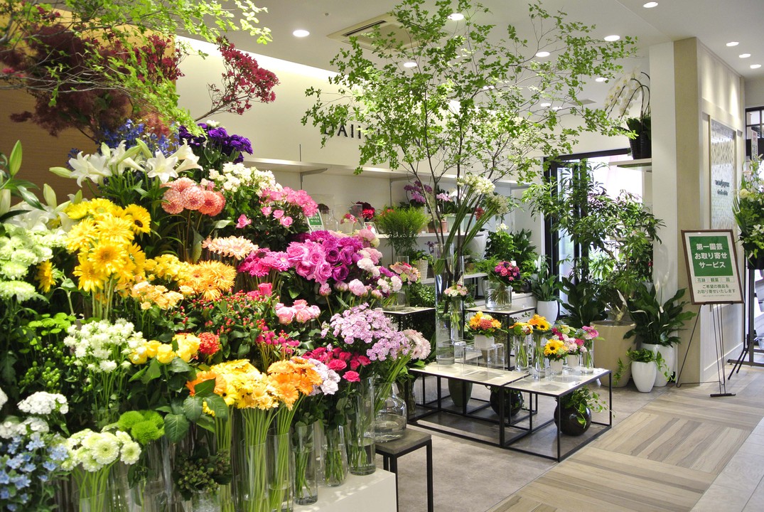 第一園芸 田園調布店 田園調布 花 Pathee パシー