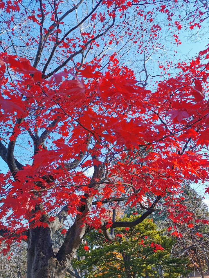 北海道立文学館