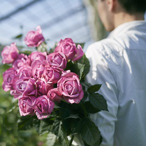 バラの花束は女性がもらって嬉しいプレゼントの定番！