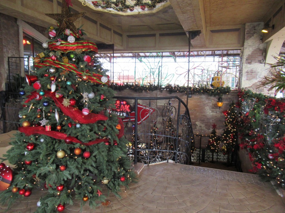 建物の中にツリーが