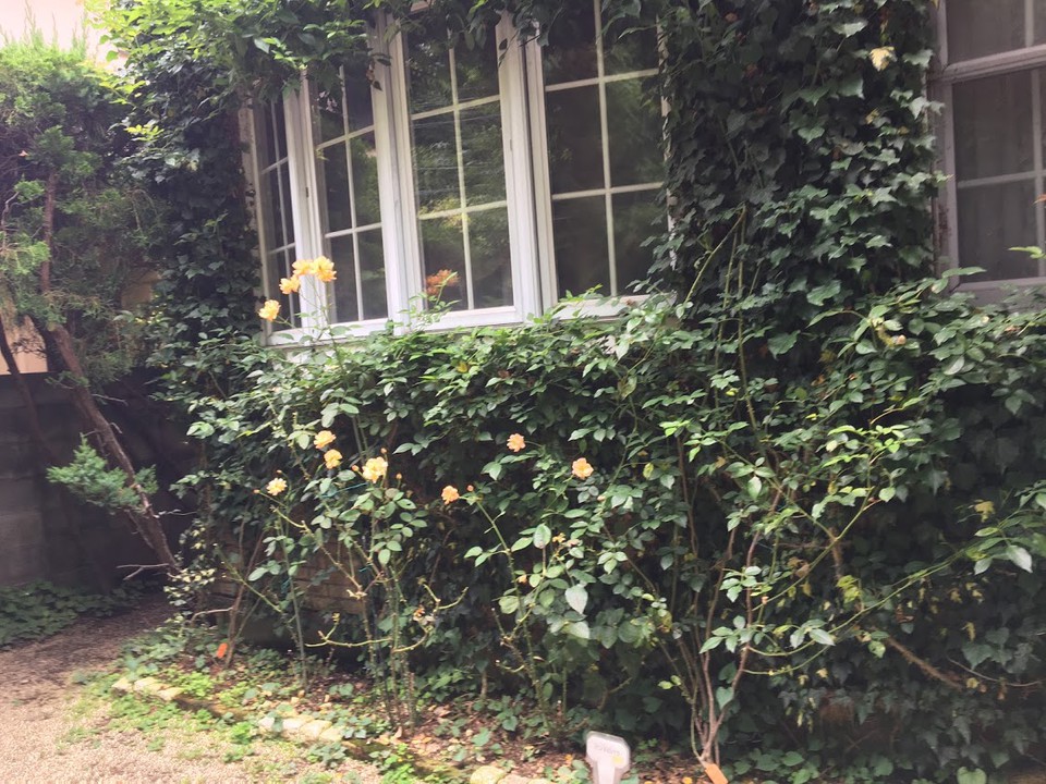 小さいけれど覗いてみたくなる美術館