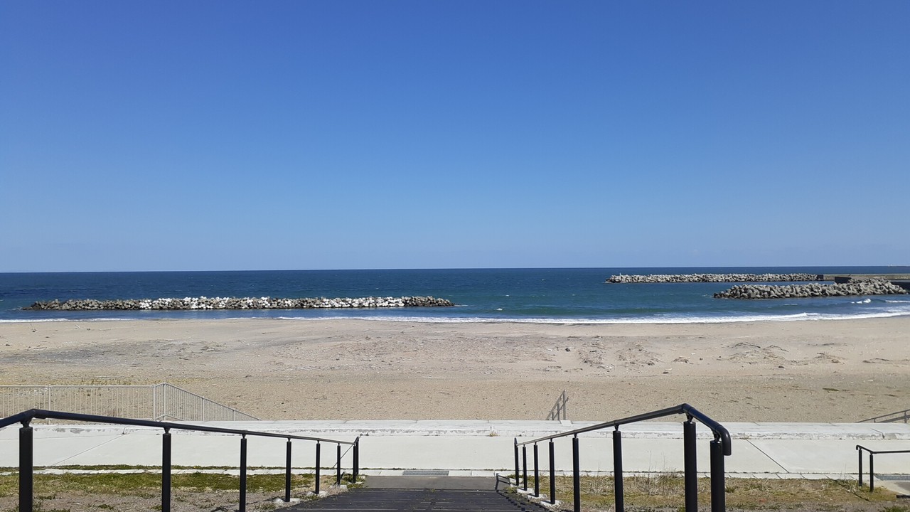 公園から眺める太平洋の景色