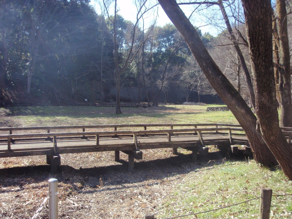 野津田公園湿生植物園