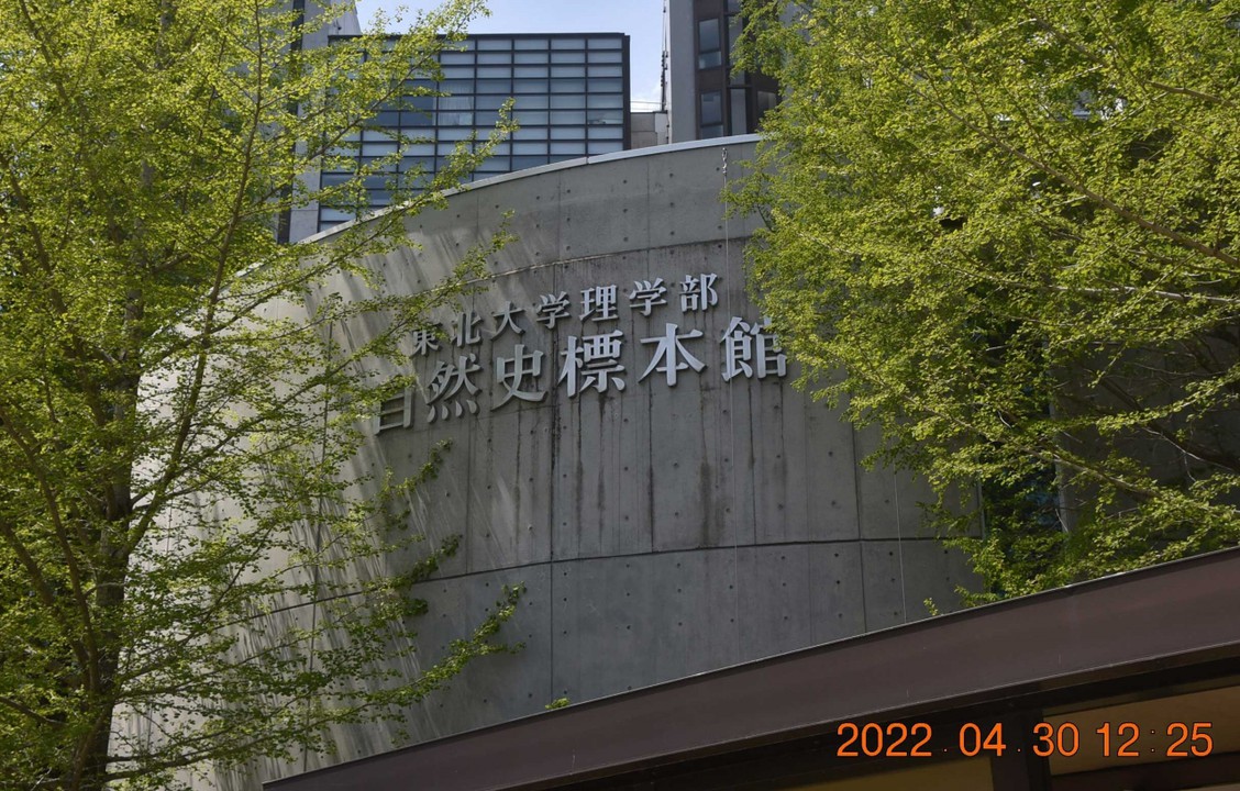 東北大学理学部の一角にあります。