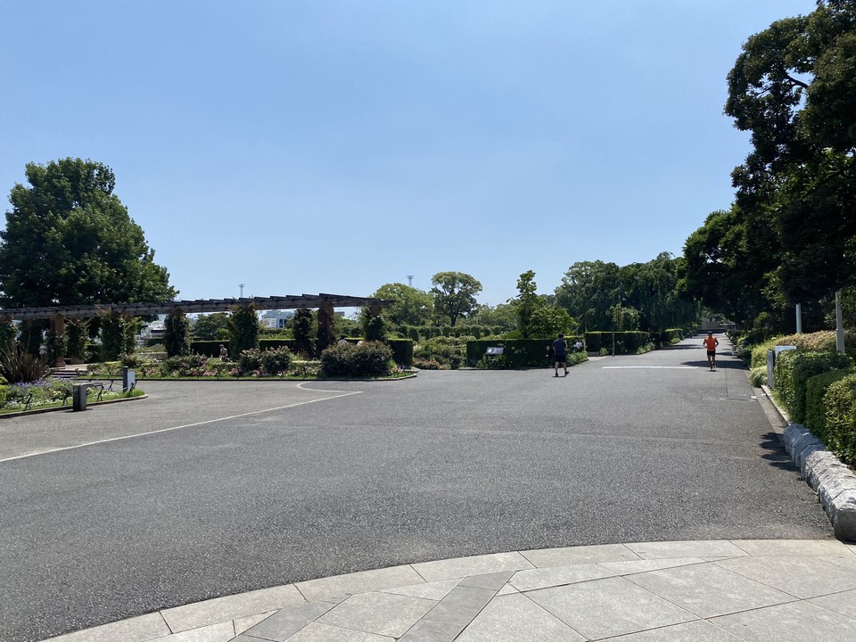 広い園内