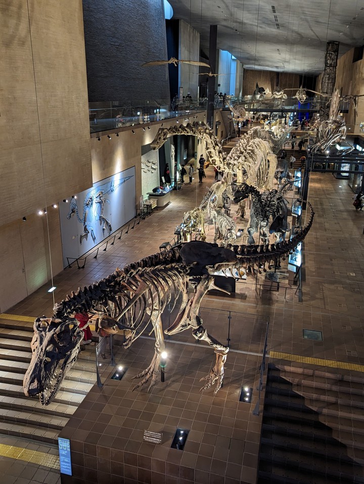 Exhibits