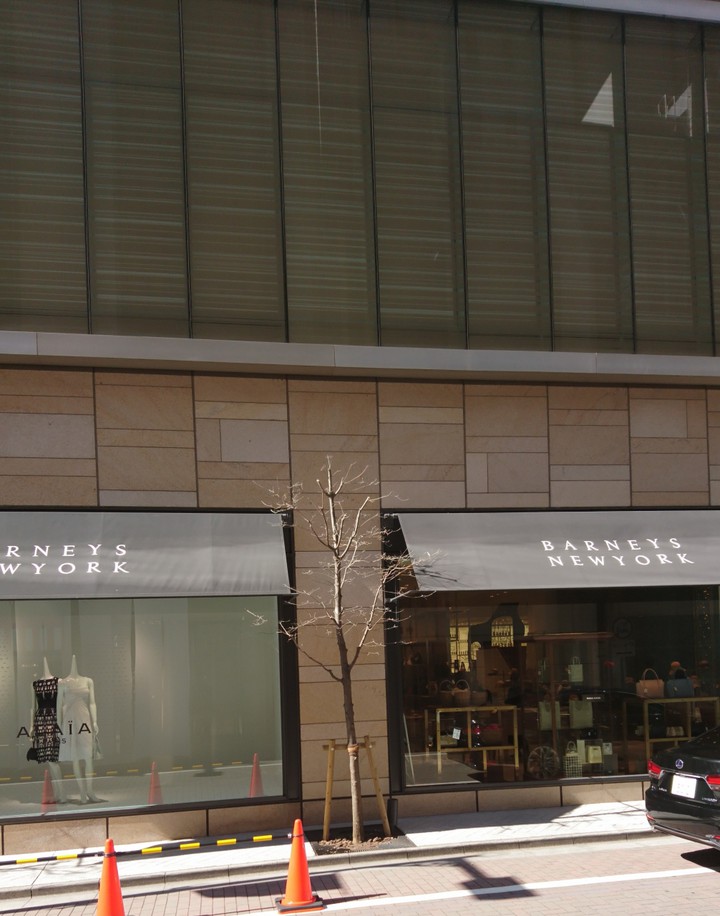 銀座通りの一本外堀通り寄りの通りにある