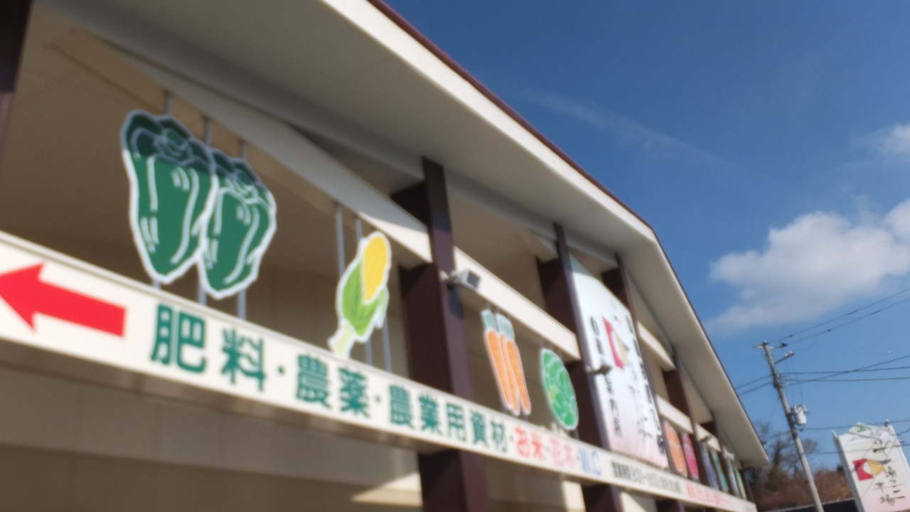 市場