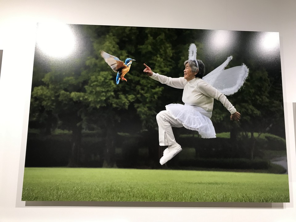 カワセミとエンジェル貴美子さん