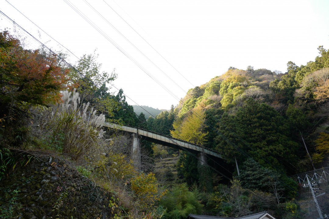 こちらは水根貨物線の線路跡。サイクリングロードにして欲しい…