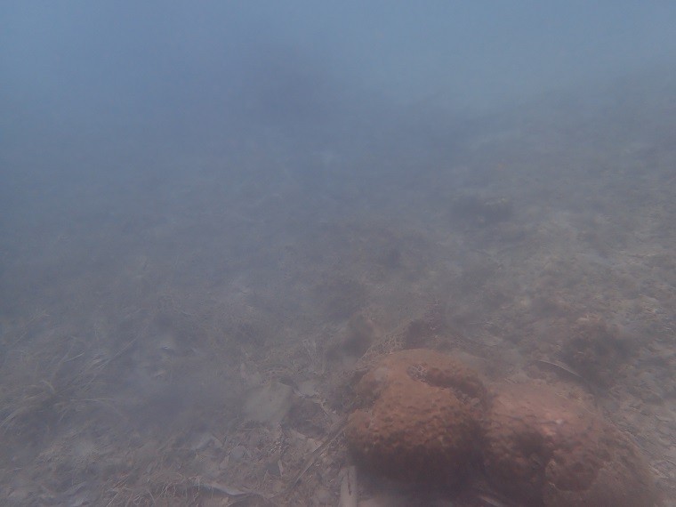 海の中はこんな感じ…お魚さんはおりませぬ