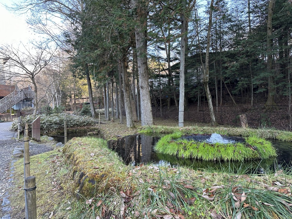 冨士の湧水が湧きだしている泉