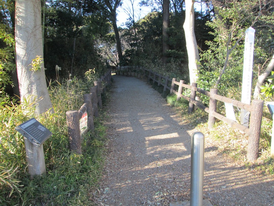 根木内城土橋