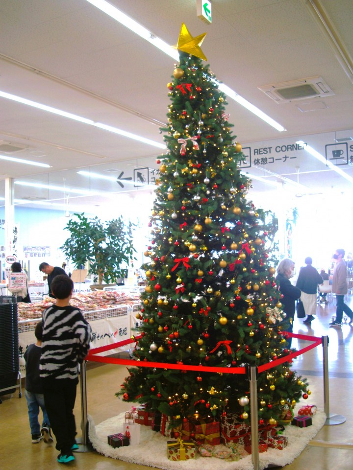 店内正面のクリスマスツリー