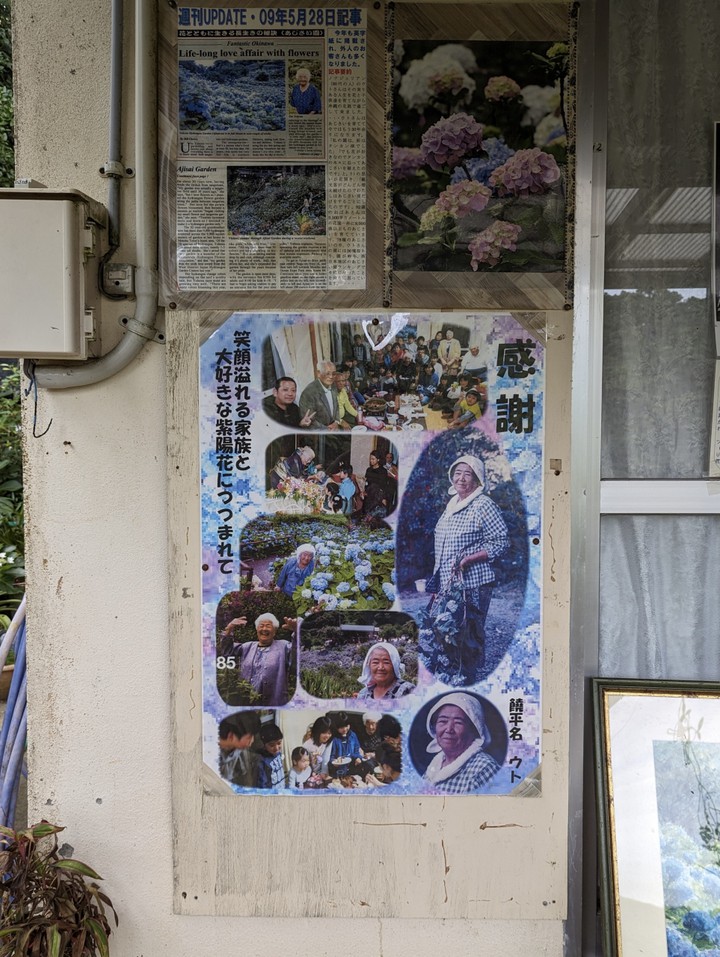 よへなあじさい園、あじさいおばぁの紹介。。