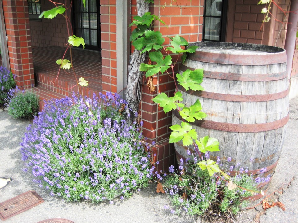 この演出のセンス好さ！