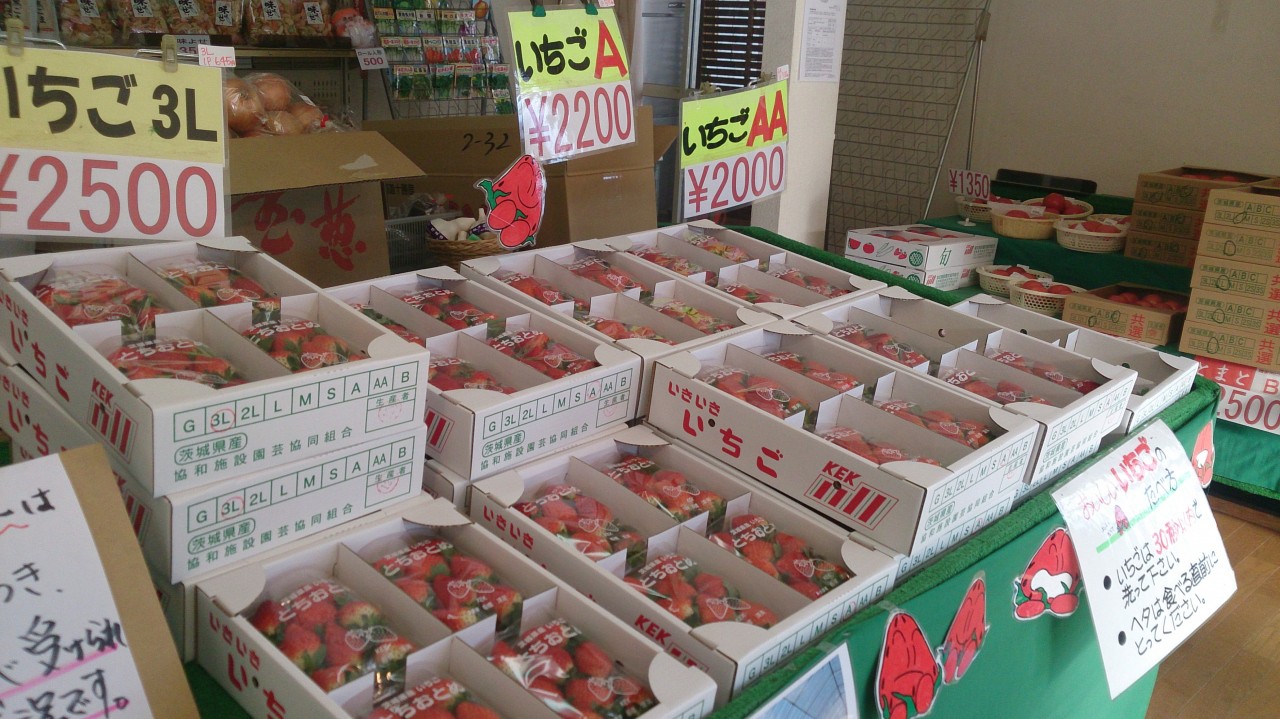 メインのイチゴです。
