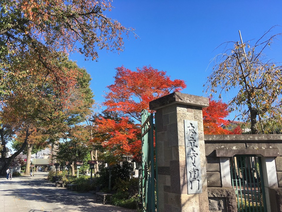 境内の紅葉
