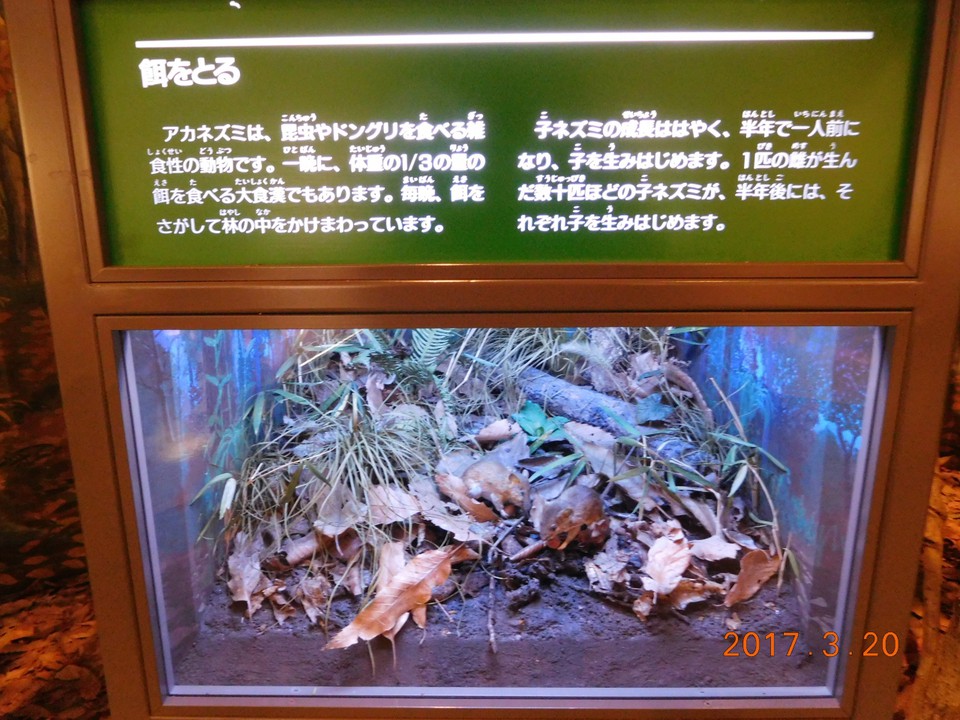展示の工夫、半端ない