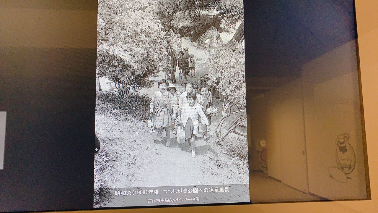 この頃だ生まれたの私