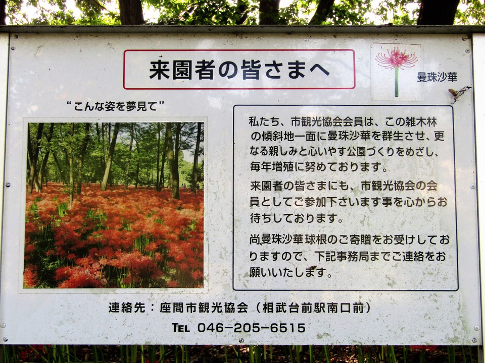 看板