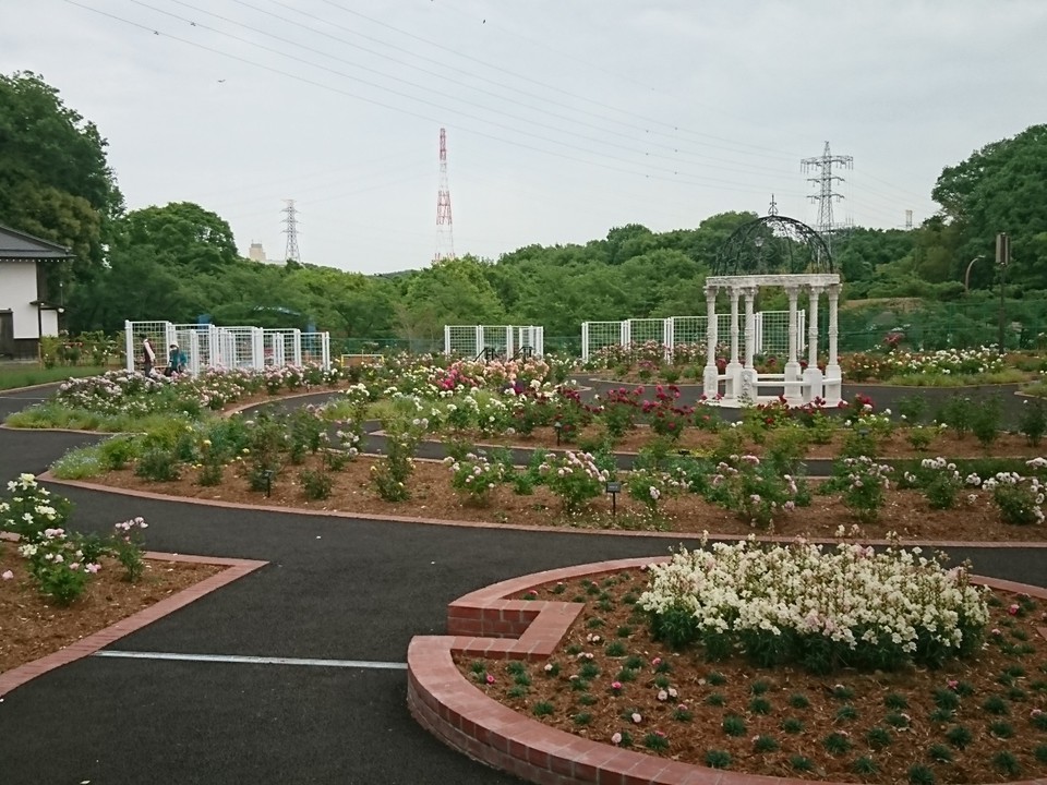 野津田公園北口