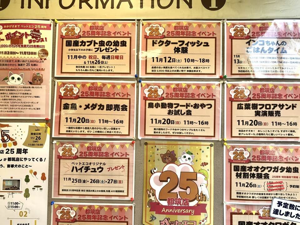 ペットエコ都筑店 ショップ チラシ