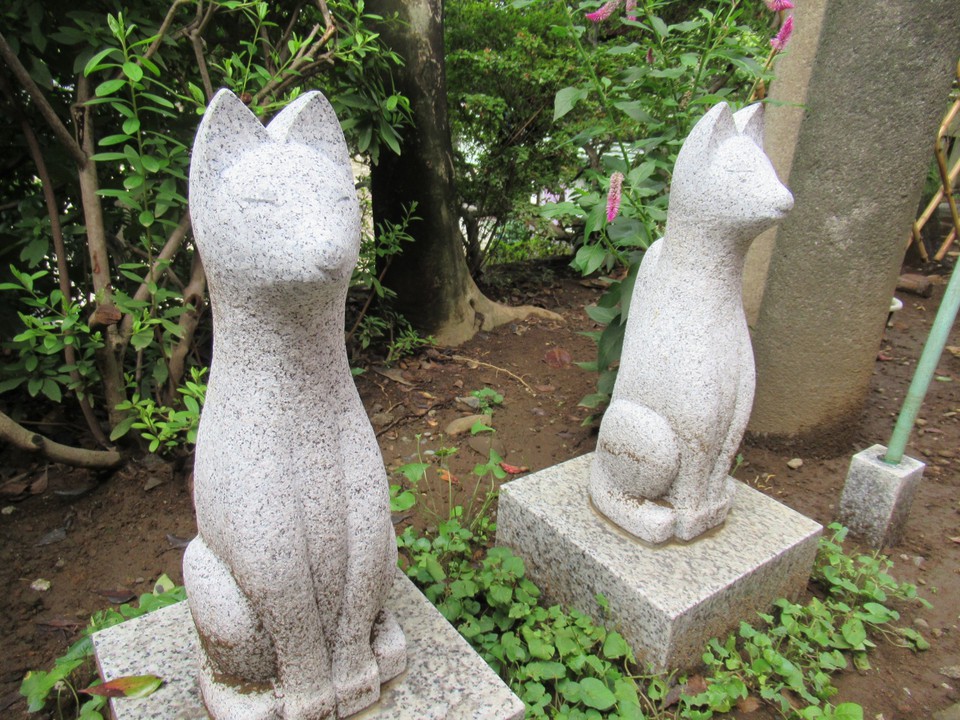 お狐様
