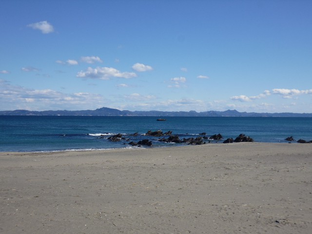 kikuna