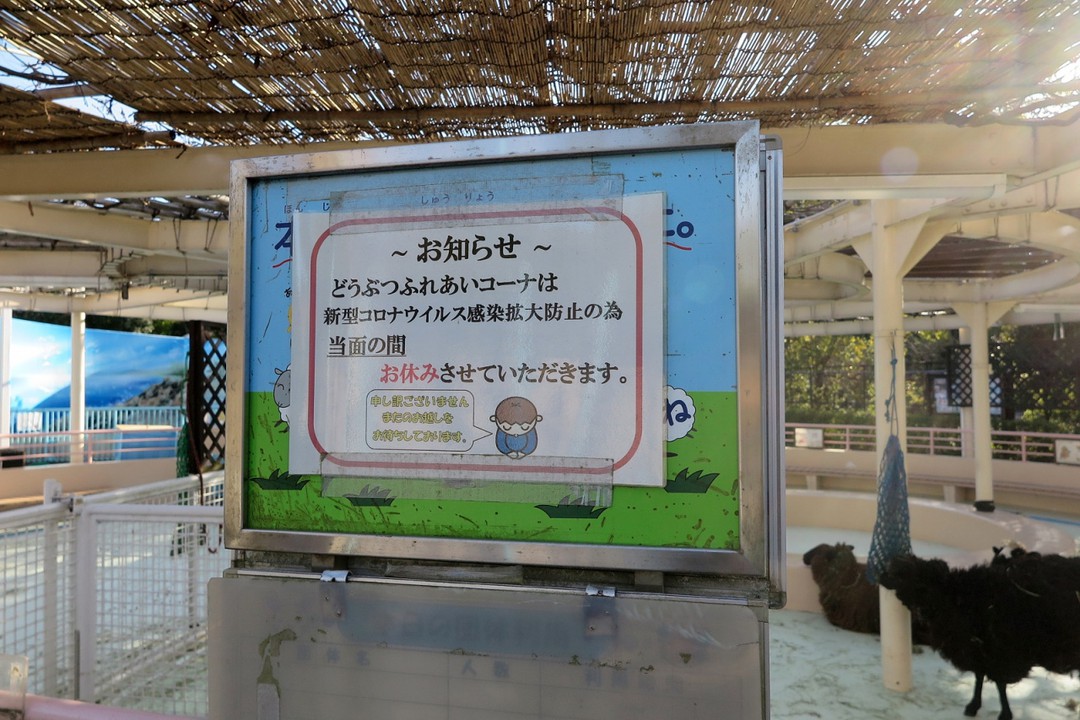 ふれあいコーナー、コロナ前であれば…