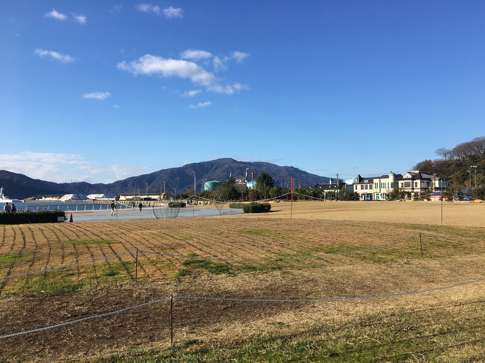 金ヶ崎緑地です。