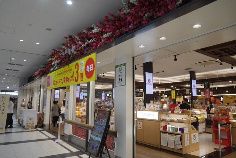 写真上部のブーゲンビリアに注目。