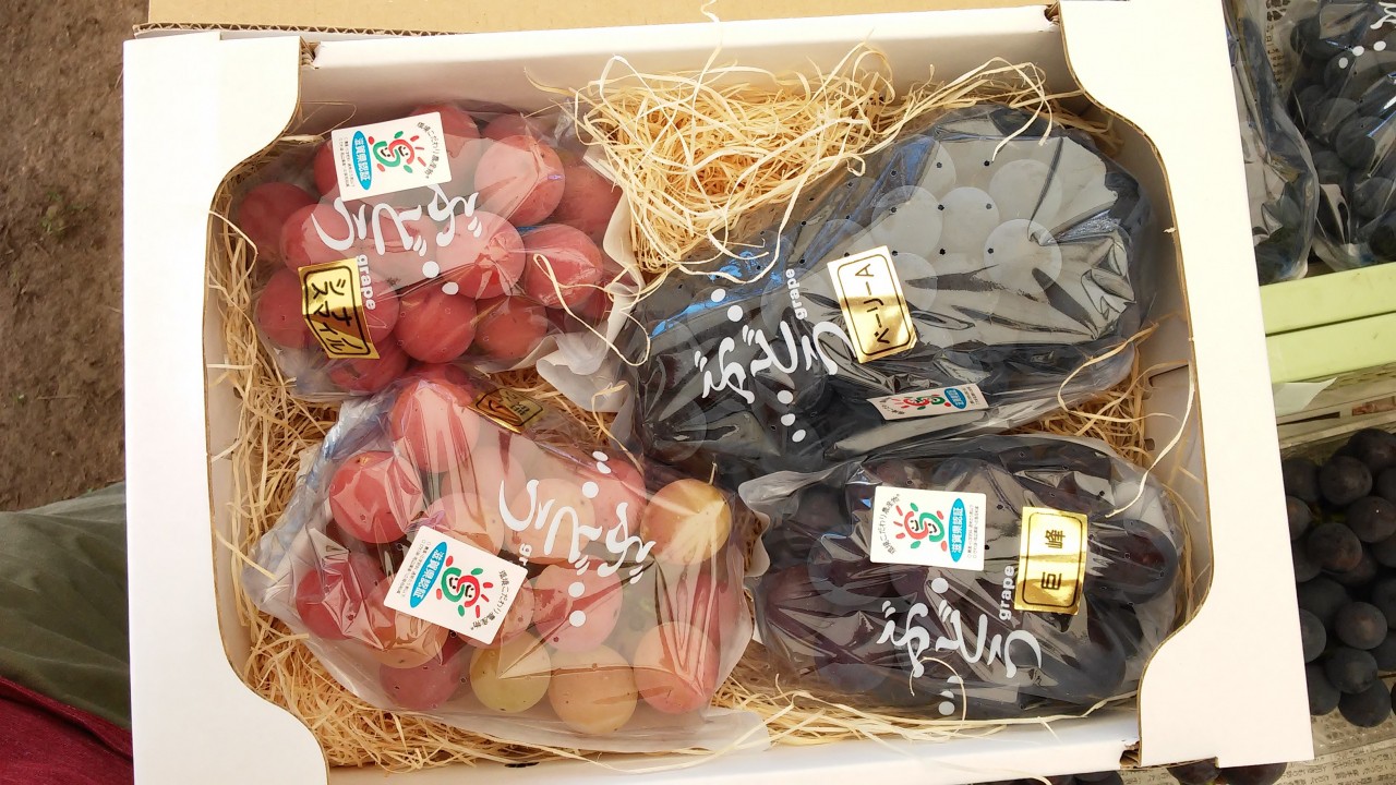 結局、全種類買っちゃいました。