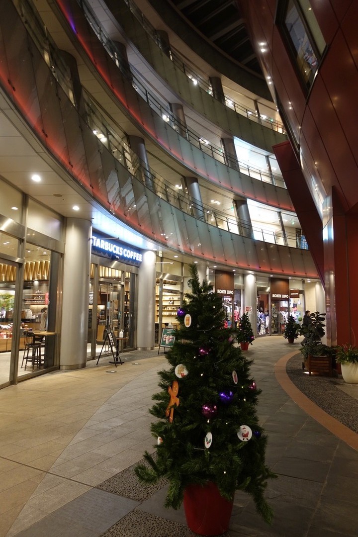 あちこちにツリーがあります