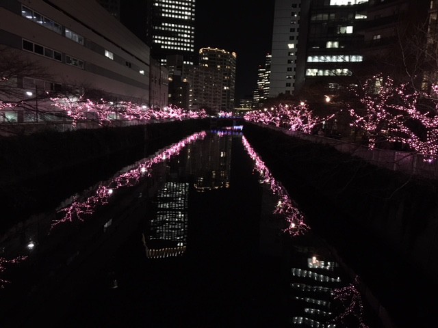目黒川みんなのイルミネーション