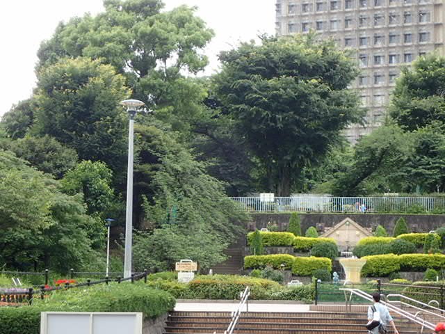 シビックセンター側から