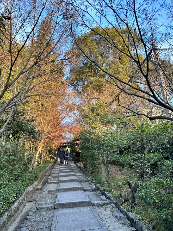 ねねの道