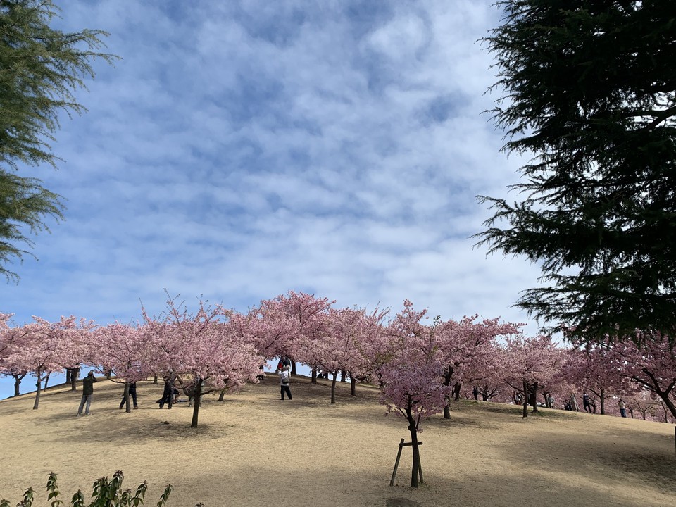 山に立っている