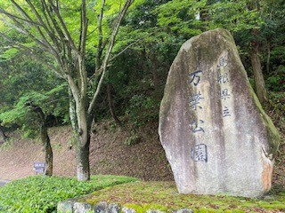 緑に囲まれた公園です。