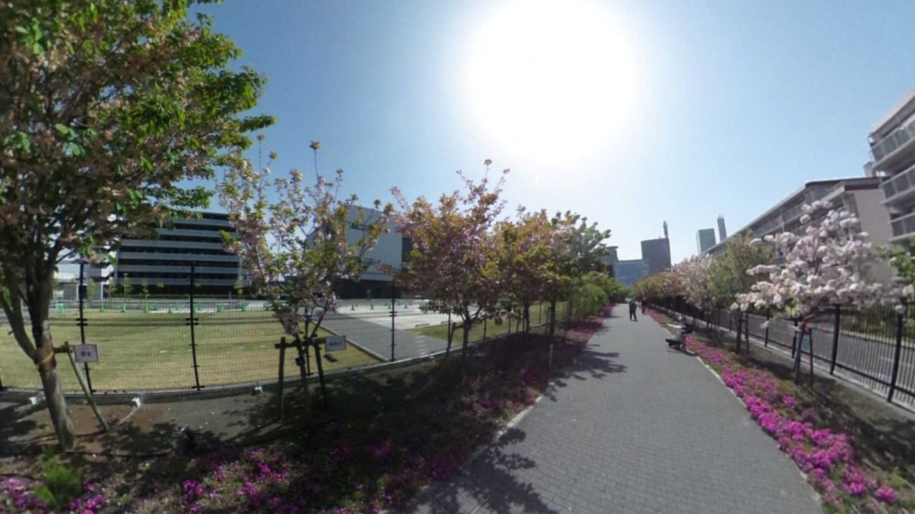 桜のさんぽ道 さいたま造幣局
