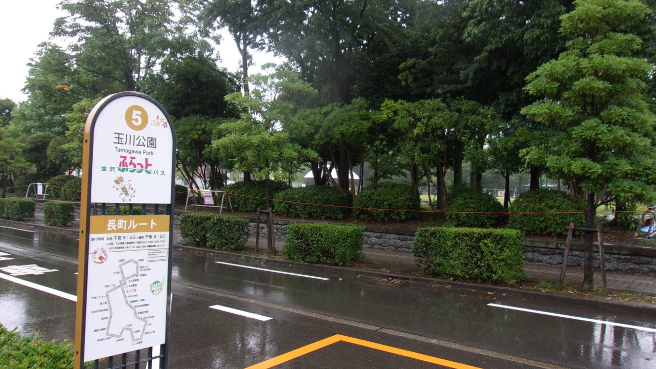 図書館もある文教地区