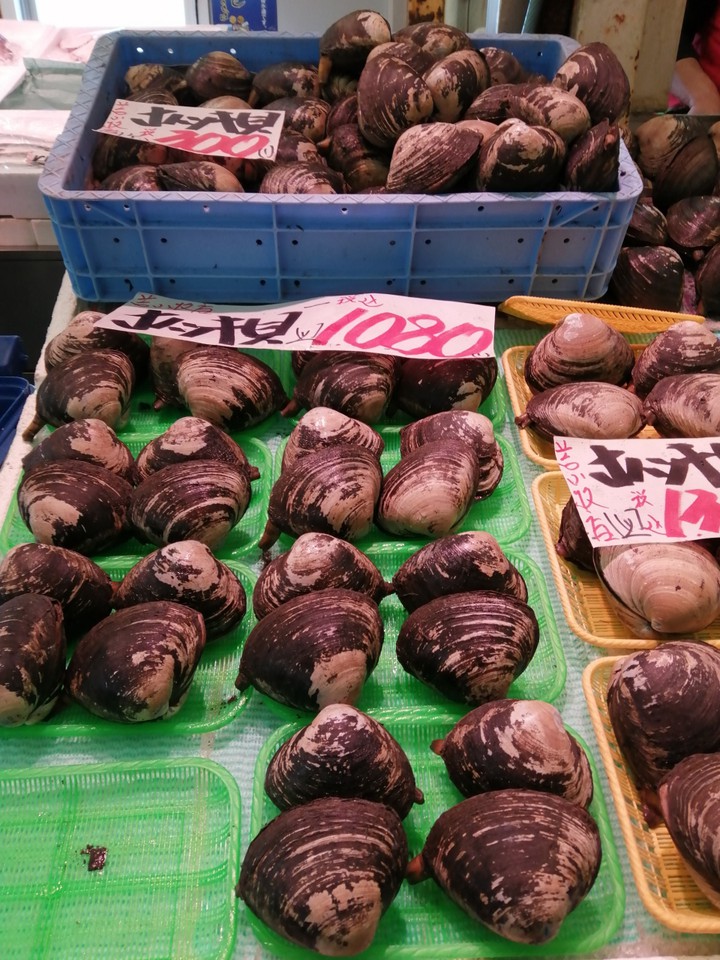 販売されていたほっき貝
