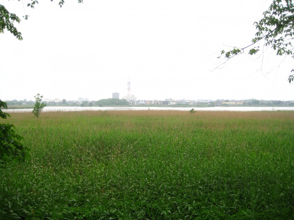 鳥屋野潟と新潟市街