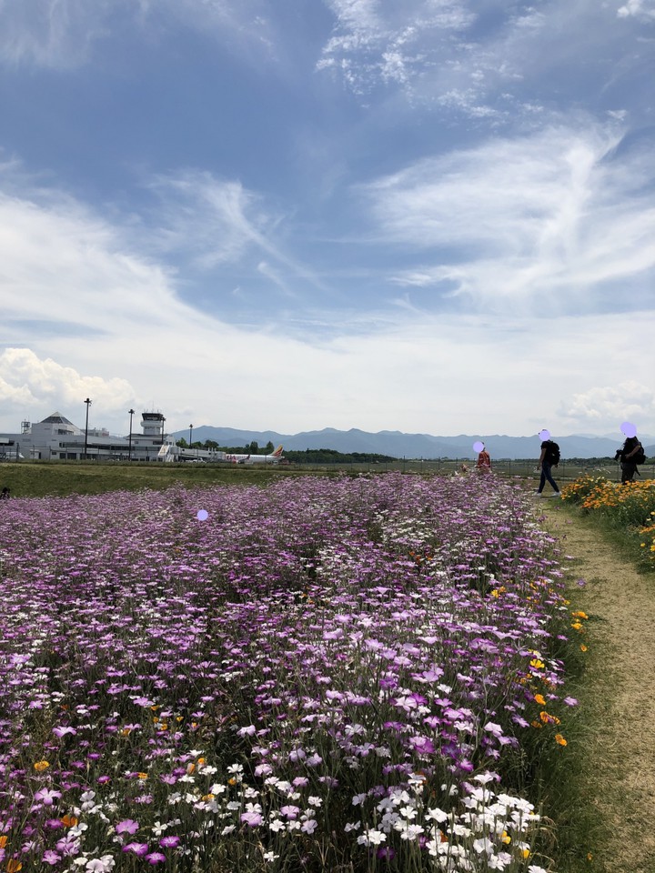 隣りは信州まつもと空港