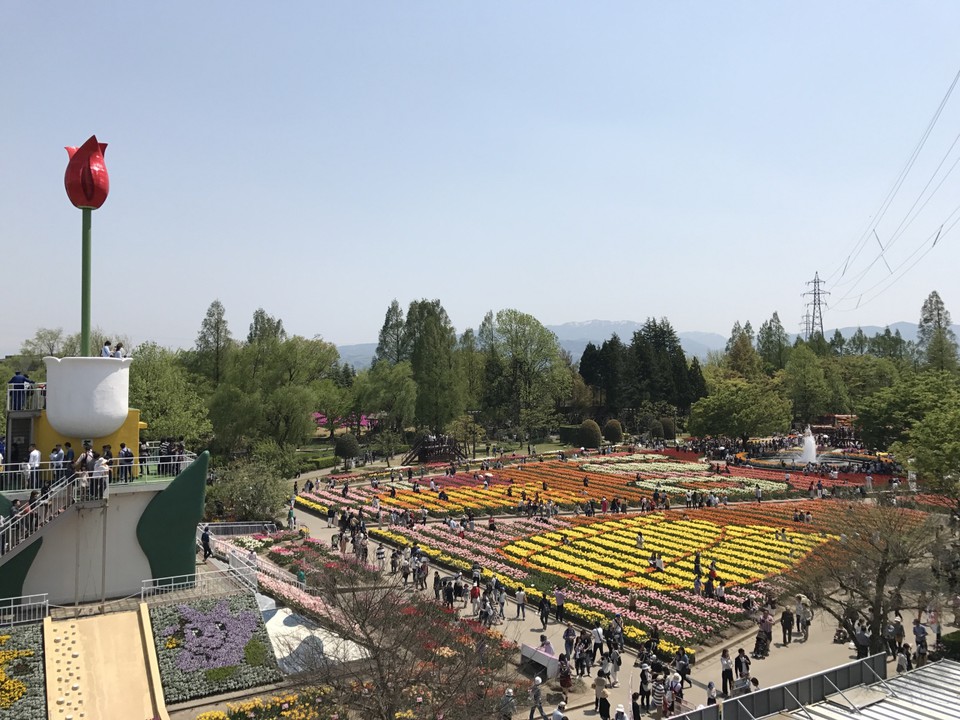 デッキからの景色