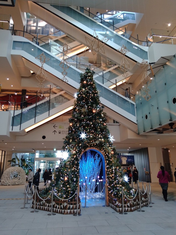 クリスマスツリーが飾られていました