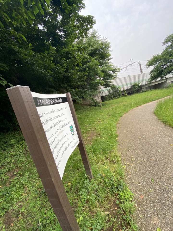 歩道も整備されてます