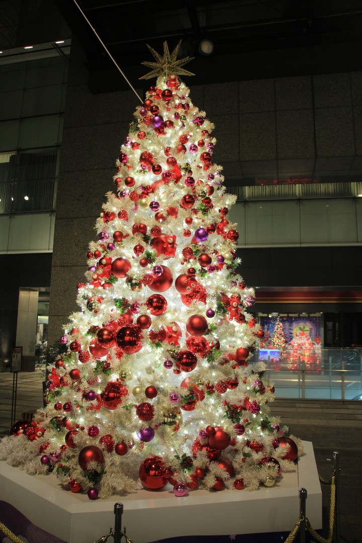 ホワイトのシンボルツリー