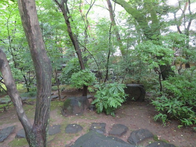 薄暗い雰囲気です